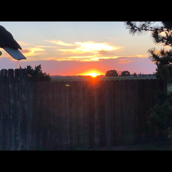 maddie_may_